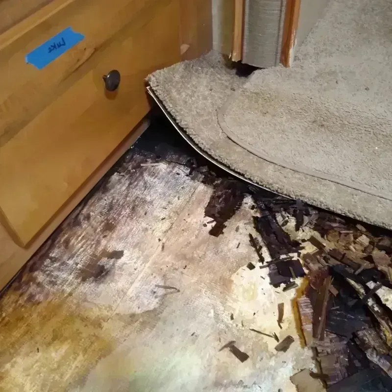 Wood Floor Water Damage in Sawyerwood, OH